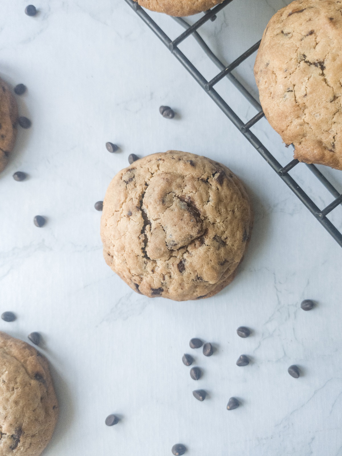 CHOCO CHIP COOKIES