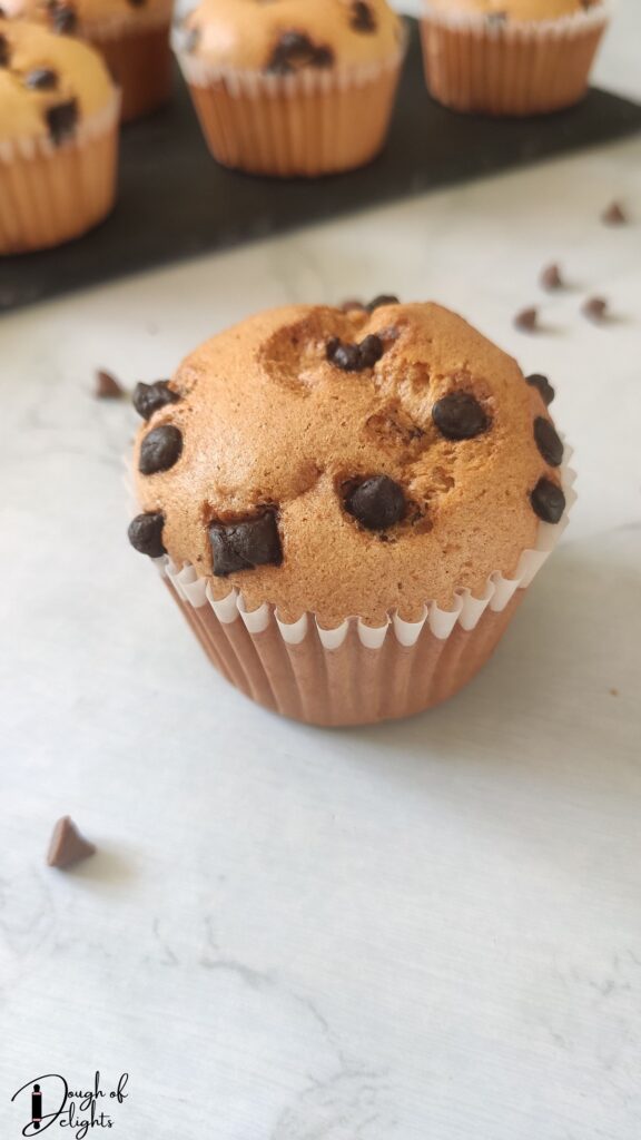 Chocolate Chips Chiffon Cupcakes